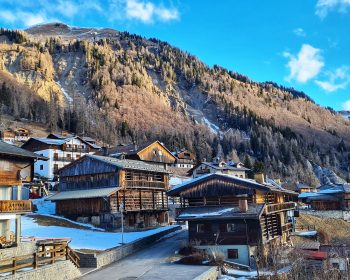 Sauris