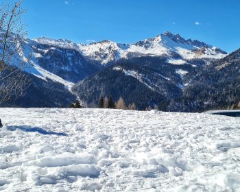 Cosa fare a Sauris con bambini e cane